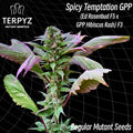 Semillas regulares de Spicy Temptation GPP