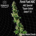 Semillas regulares de Feral Fuel ABC