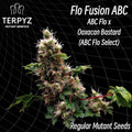 Semillas regulares Flo Fusion ABC