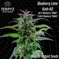 Semillas regulares de Blueberry Lime Kush AD