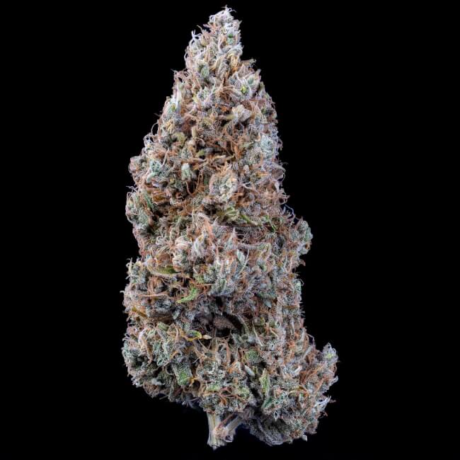 Bubbasquanch Auto Feminised Seeds
