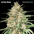 Semillas feminizadas de Lemon Bean