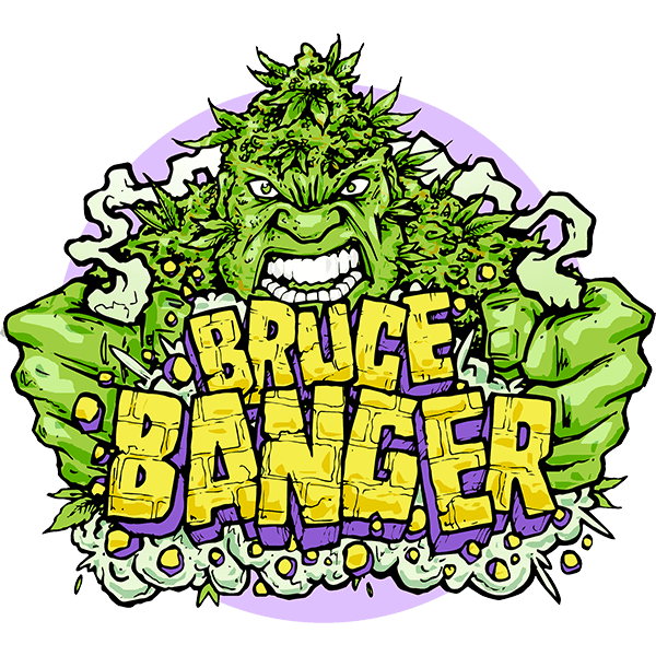 Semillas feminizadas de Bruce Banger Fast