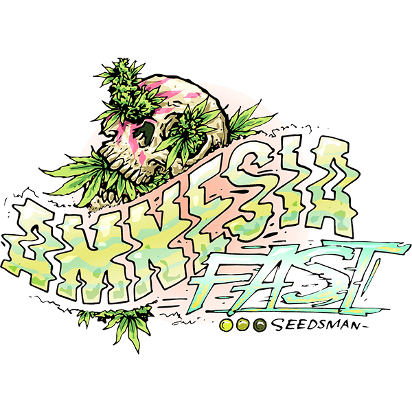 Amnesia Fast Feminised Seeds