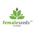 Feminisierte Lemon Kush Samen