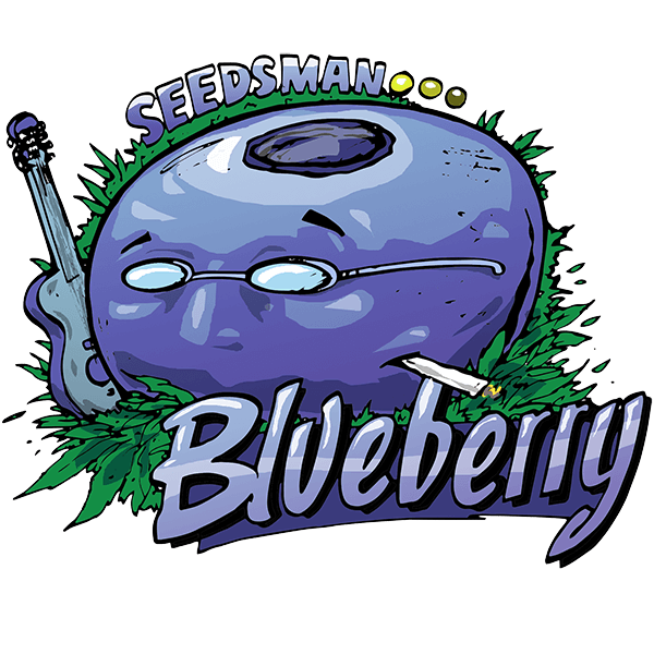 Blueberry Feminised Seeds