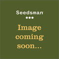 Livers Bx1 Auto Feminised Seeds