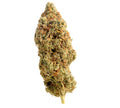 Semillas regulares de Amnesia Haze